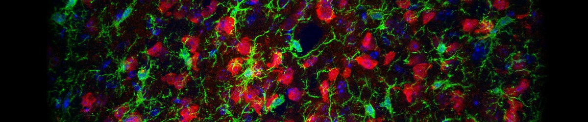 Light Microscopy Unit & FACS-Facility